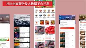 项目案例：社区电商服务及大数据平台开发